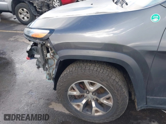 2015 Jeep Cherokee Trailhawk with VIN 1C4PJMBS9FW785545, listed as a IAAI auction lot 41573197 with 124,304 mi miles. Bid and sale history available at carsss.com. Image 15.