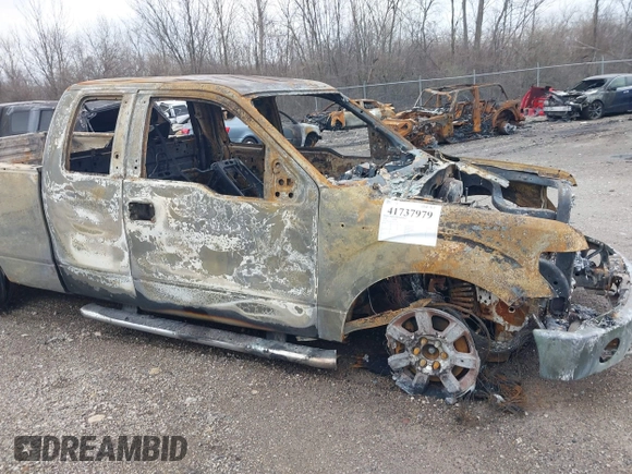 2010 Ford F-150 XL with VIN 1FTFX1EV1AFC15580, listed as a IAAI auction lot 41737979 with Not provided miles and . Bid and sale history available at DreamBid. Image 13.