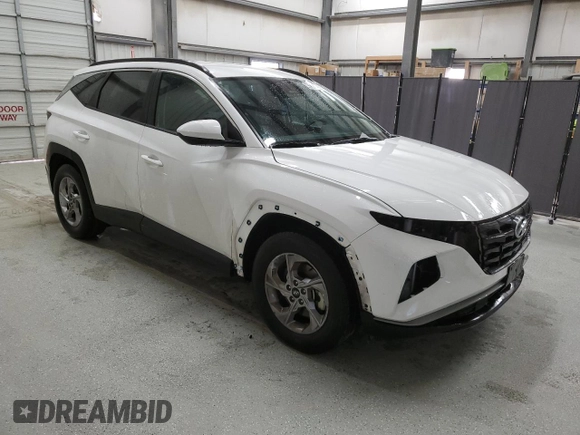 2024 Hyundai Tucson SEL with VIN 5NMJB3DE5RH299570, listed as a Copart auction lot 42302955 with 41,534 mi miles and Clean Title. Bid and sale history available at DreamBid. Image 4.