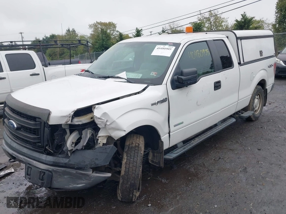 2013 Ford F-150 XL with VIN 1FTFX1ET8DKE95332, listed as a IAAI auction lot 40480905 with 243,758 mi miles and . Bid and sale history available at DreamBid. Image 2.
