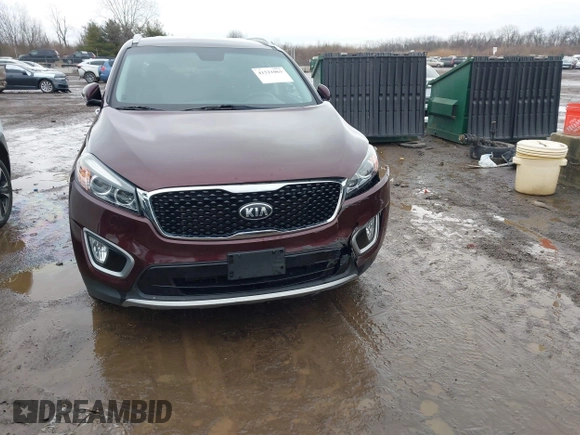 2018 Kia Sorento EX with VIN 5XYPHDA52JG363646, listed as a IAAI auction lot 41521063 with 166,449 mi miles and . Bid and sale history available at carsss.com. Image 12.
