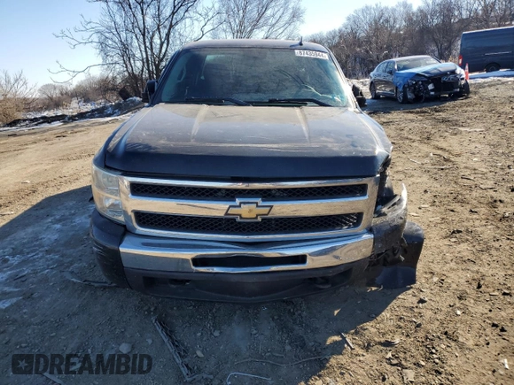 2010 Chevrolet Silverado 1500 LS with VIN 1GCSKREAXAZ186037, listed as a Copart auction lot 87435944 with 274,879 mi miles and Salvage Title. Bid and sale history available at DreamBid. Image 5.