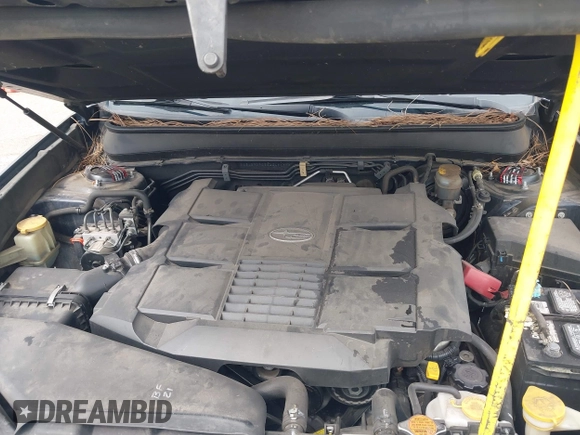 2013 Subaru Outback Limited with VIN 4S4BRDPC3D2248111, listed as a IAAI auction lot 42189980 with 154,480 mi miles and . Bid and sale history available at DreamBid. Image 10.