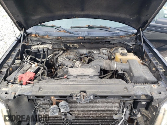 2013 Ford F-150 XL with VIN 1FTMF1CM7DFD51544, listed as a Copart auction lot 58138115 with 284,893 mi miles and Clean title. Bid and sale history available at DreamBid. Image 11.