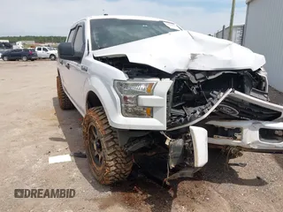 2017 Ford F-150 XL с VIN 1FTEW1EF9HKD73559, выставлен на аукционе IAAI как лот 42264327 с пробегом 165 071 миль миль и . История ставок и продаж доступна на DreamBid. Изображение 1.