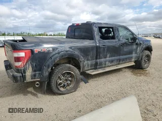 2022 Ford F-150 XL with VIN 1FTFW1E52NKE31356, listed as a Copart auction lot 56332355 with 161,754 mi miles and Salvage Title. Bid and sale history available at DreamBid. Image 3.