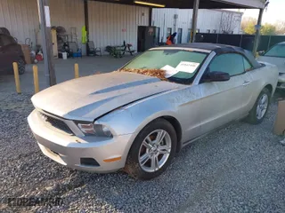 2010 Ford Mustang V6 with VIN 1ZVBP8EN0A5122494, listed as a IAAI auction lot 41842408 with 1 mi miles. Bid and sale history available at carsss.com. Image 2.