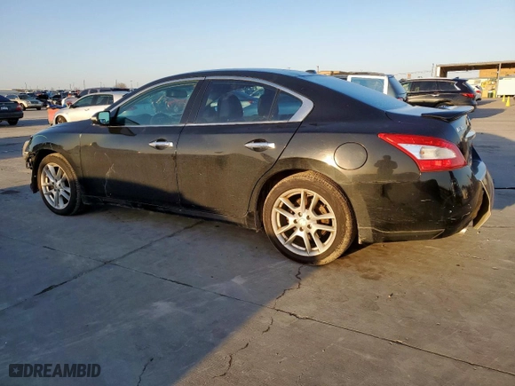 2010 Nissan Maxima 3.5 SV w/Premium Pkg with VIN 1N4AA5AP2AC867139, listed as a Copart auction lot 46926005 with 113,641 mi miles and Salvage Title. Bid and sale history available at carsss.com. Image 2.