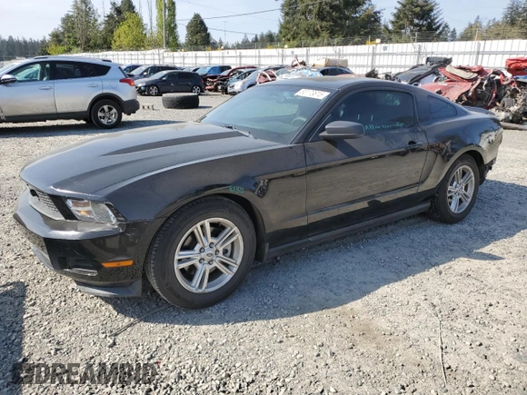 2011 Ford Mustang V6 with VIN 1ZVBP8AM4B5164343, listed as a Copart auction lot 53173815 with 126,579 mi miles and Salvage Title. Bid and sale history available at carsss.com. Image 1.