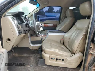2009 Ford F-150 XL with VIN 1FTPW14V69FB18458, listed as a Copart auction lot 55684195 with 338,034 mi miles and Salvage title. Bid and sale history available at DreamBid. Image 7.