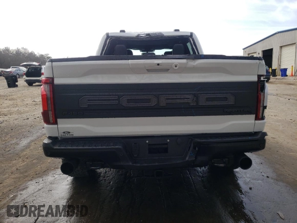 2024 Ford F-150 Raptor with VIN 1FTFW1RG5RFA24884, listed as a Copart auction lot 48981025 with 116 mi miles and Salvage Title. Bid and sale history available at DreamBid. Image 6.