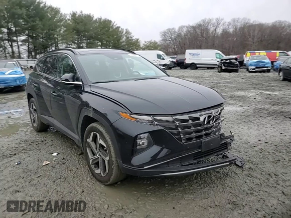 2022 Hyundai Tucson Limited with VIN 5NMJECAEXNH100969, listed as a Copart auction lot 44504275 with 24,479 mi miles and Salvage Title. Bid and sale history available at carsss.com. Image 11.