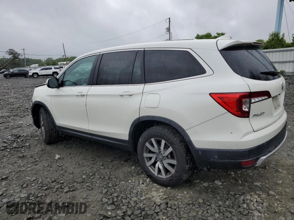 2019 Honda Pilot EX-L with VIN 5FNYF6H5XKB050512, listed as a Copart auction lot 57701295 with 49,031 mi miles and Salvage title. Bid and sale history available at DreamBid. Image 2.