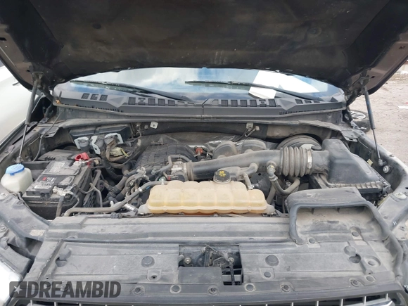 2019 Ford F-150 XL with VIN 1FTEW1CBXKKC92920, listed as a IAAI auction lot 41543793 with 147,986 mi miles and . Bid and sale history available at carsss.com. Image 10.