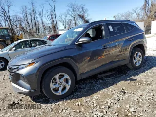 2024 Hyundai Tucson SEL with VIN 5NMJBCDE0RH344298, listed as a Copart auction lot 49929715 with 25,076 mi miles and Non Repairable. Bid and sale history available at carsss.com. Image 1.