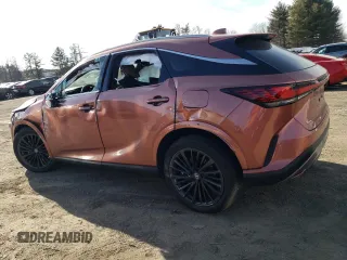 2025 Lexus RX 350 with VIN 2T2BAMCA0SC089803, listed as a Copart auction lot 46683815 with 1,629 mi miles and Salvage Title. Bid and sale history available at DreamBid. Image 2.