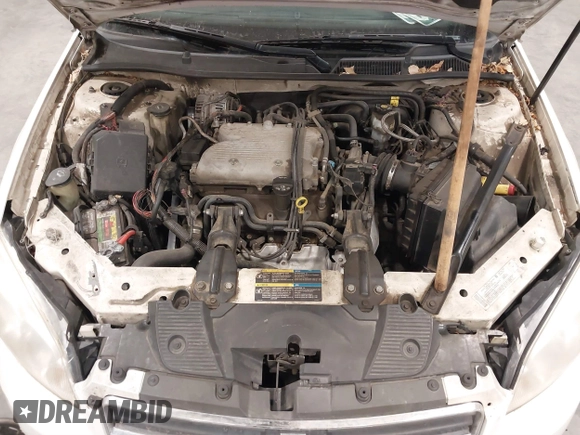 2006 Chevrolet Impala LS with VIN 2G1WB58K569231250, listed as a IAAI auction lot 41839214 with 182,182 mi miles and . Bid and sale history available at DreamBid. Image 10.