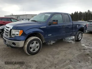 2011 Ford F-150 XL with VIN 1FTFX1ET8BFC87344, listed as a Copart auction lot 46576495 with 126,027 mi miles and Salvage Title. Bid and sale history available at carsss.com. Image 1.