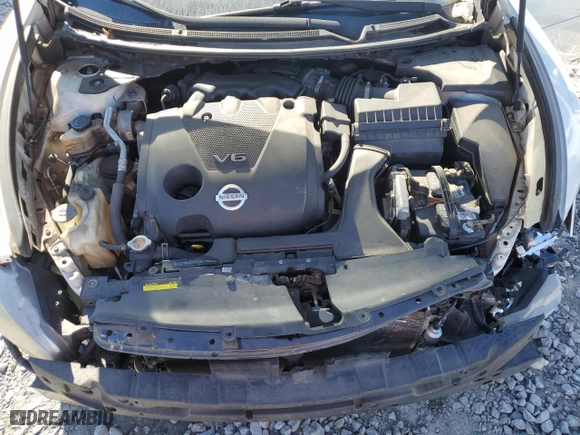 2009 Nissan Maxima 3.5 SV with VIN 1N4AA51E79C819257, listed as a Copart auction lot 82005314 with 196,593 mi miles and Salvage Title. Bid and sale history available at carsss.com. Image 13.