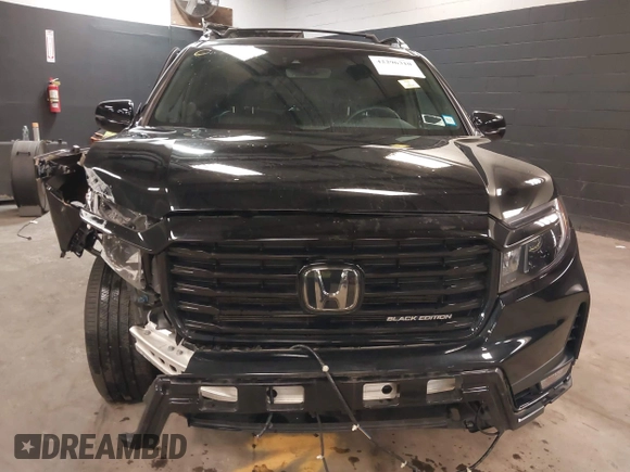 2024 Honda Passport Black Edition with VIN 5FNYF8H82RB002633, listed as a IAAI auction lot 42296310 with 12,991 mi miles and . Bid and sale history available at DreamBid. Image 13.
