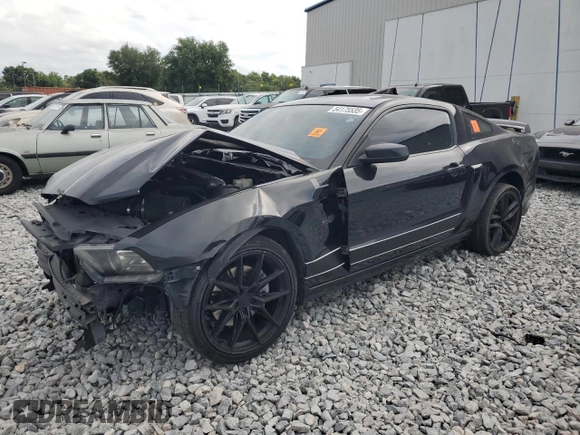 2013 Ford Mustang GT with VIN 1ZVBP8CF6D5231252, listed as a Copart auction lot 54175535 with 159,375 mi miles and Salvage title. Bid and sale history available at DreamBid. Image 1.