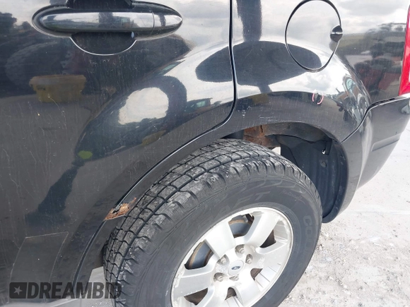 2009 Ford Escape Limited with VIN 1FMCU04G89KC13137, listed as a IAAI auction lot 42230494 with 120,368 mi miles and . Bid and sale history available at DreamBid. Image 12.