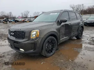 2022 Kia Telluride SX with VIN 5XYP5DHC6NG283463, listed as a Copart auction lot 47354935 with 58,621 mi miles and Salvage Title. Bid and sale history available at DreamBid. Image 1.
