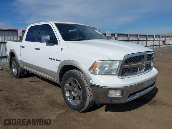 2010 Dodge 1500 SLT with VIN 1D7RV1CT8AS110083, listed as a IAAI auction lot 42213775 with 127,044 mi miles and . Bid and sale history available at carsss.com. Image 1.