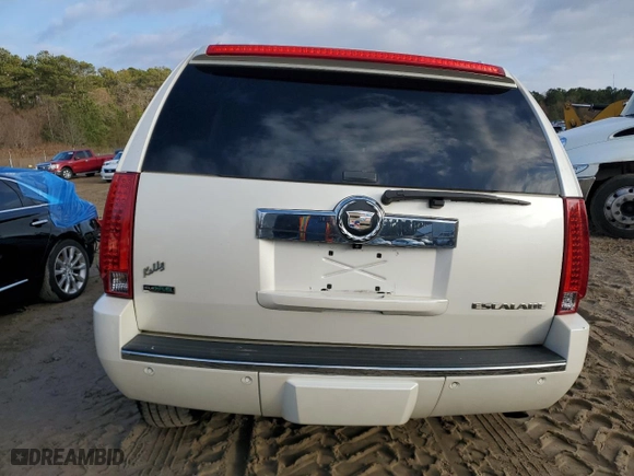 2010 Cadillac Escalade Premium with VIN 1GYUKCEF6AR290584, listed as a Copart auction lot 84985424 with 218,280 mi miles and Salvage Title. Bid and sale history available at carsss.com. Image 6.