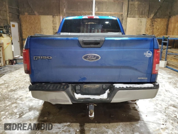 2015 Ford F-150 XLT with VIN 1FTEW1EF7FKE00061, listed as a Copart auction lot 45212285 with 173,509 mi miles and Salvage Title. Bid and sale history available at DreamBid. Image 6.