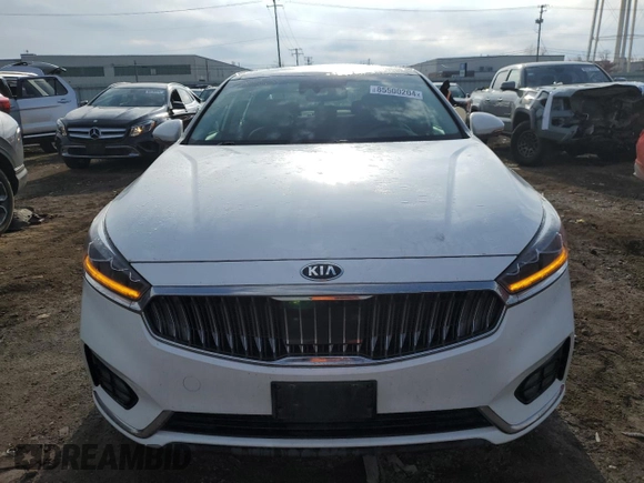 2019 Kia Cadenza Technology with VIN KNALC4J16K5159529, listed as a Copart auction lot 85500204 with 49,516 mi miles and Salvage Title. Bid and sale history available at carsss.com. Image 5.