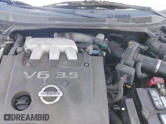 2003 Nissan Altima SE with VIN 1N4BL11D03C109736, listed as a IAAI auction lot 42127768 with Not provided miles and . Bid and sale history available at DreamBid. Image 10.