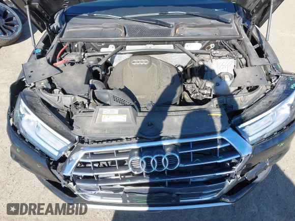 2019 Audi Q5 Premium with VIN WA1ANAFY7K2043454, listed as a IAAI auction lot 41620464 with 57,516 mi miles. Bid and sale history available at carsss.com. Image 10.