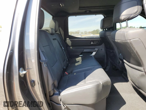 2023 Toyota Tundra Platinum with VIN 5TFNA5DBXPX073809, listed as a Copart auction lot 51221005 with 60,726 mi miles and Salvage title. Bid and sale history available at DreamBid. Image 10.