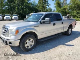 2011 Ford F-150 XLT with VIN 1FTFW1ET2BFB27236, listed as a Copart auction lot 64811725 with 281,432 mi miles and Salvage title. Bid and sale history available at DreamBid. Image 1.