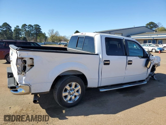 2014 Ford F-150 XL with VIN 1FTFW1CF1EKF46526, listed as a Copart auction lot 49908745 with Not Provided miles and Salvage Title. Bid and sale history available at carsss.com. Image 3.