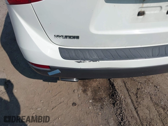 2007 Hyundai Veracruz GLS with VIN KM8NU13C97U009896, listed as a IAAI auction lot 42824029 with 200,964 mi miles and . Bid and sale history available at DreamBid. Image 13.