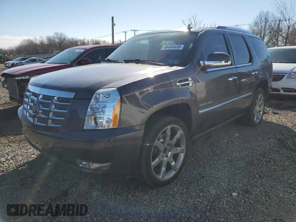 2010 Cadillac Escalade Premium with VIN 1GYUKCEF2AR264970, listed as a Copart auction lot 49448435 with 153,957 mi miles and Salvage title. Bid and sale history available at DreamBid. Image 1.