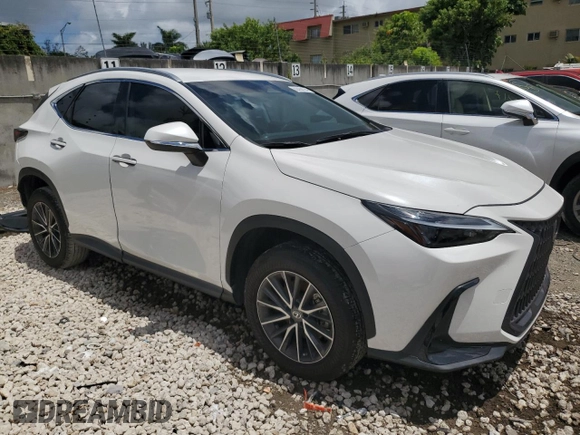2022 Lexus NX with VIN 2T2ADCAZ9NC001423, listed as a Copart auction lot 62455124 with 3,107 mi miles and Non Repairable. Bid and sale history available at carsss.com. Image 4.