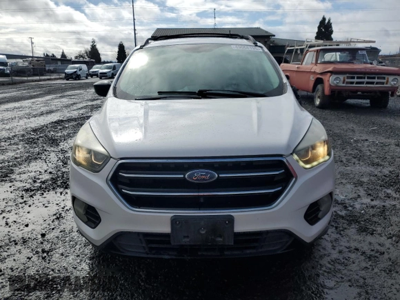 2017 Ford Escape SE with VIN 1FMCU0G99HUB81279, listed as a Copart auction lot 49068195 with 63,039 mi miles and Salvage Title. Bid and sale history available at DreamBid. Image 5.