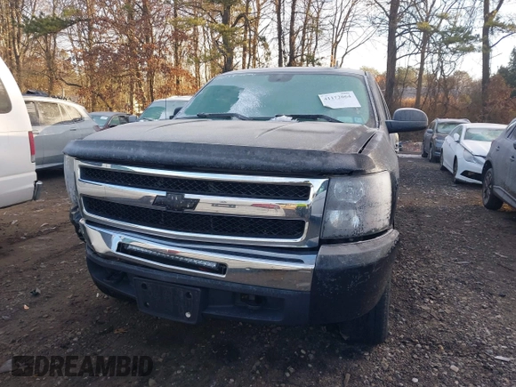 2010 Chevrolet Silverado 1500 LS with VIN 3GCRKREA9AG151200, listed as a IAAI auction lot 41172064 with 113,662 mi miles. Bid and sale history available at carsss.com. Image 12.
