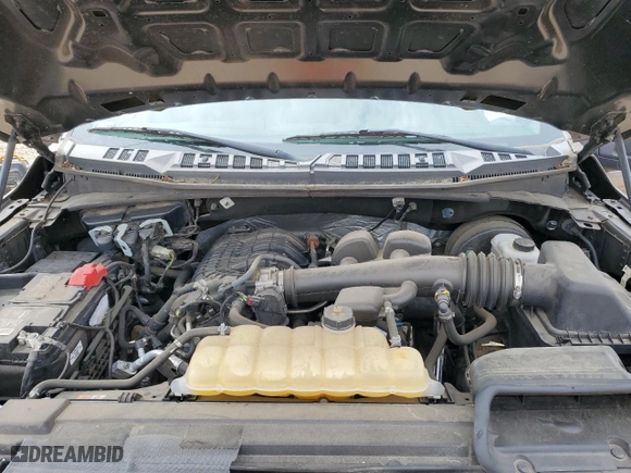 2019 Ford F-150 XL with VIN 1FTMF1CB5KKD35653, listed as a Copart auction lot 49226165 with 60,076 mi miles and Salvage Title. Bid and sale history available at carsss.com. Image 11.