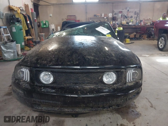 2005 Ford Mustang Deluxe with VIN 1ZVHT84N755243052, listed as a IAAI auction lot 41881137 with 109,366 mi miles and . Bid and sale history available at DreamBid. Image 12.