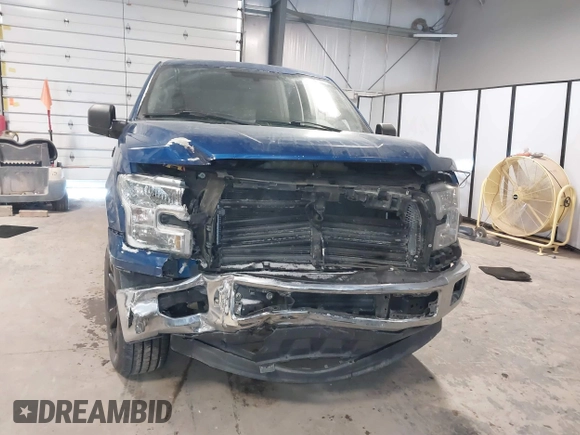 2017 Ford F-150 XL with VIN 1FTEW1CPXHKC39588, listed as a IAAI auction lot 41395138 with 140,989 mi miles and . Bid and sale history available at DreamBid. Image 12.