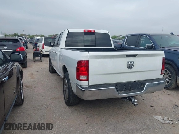 2010 Dodge 1500 SLT with VIN 1D7RB1GP0AS141530, listed as a IAAI auction lot 41879543 with 282,130 mi miles. Bid and sale history available at carsss.com. Image 3.