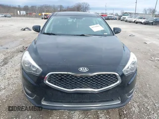 2015 Kia Cadenza Premium with VIN KNALN4D74F5188219, listed as a IAAI auction lot 41530800 with 144,330 mi miles. Bid and sale history available at carsss.com. Image 12.