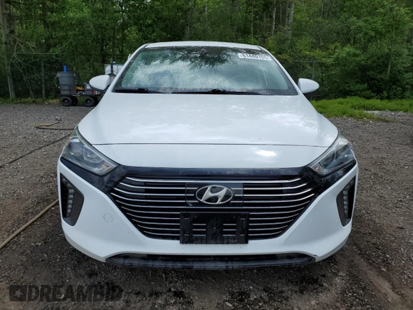 2018 Hyundai Ioniq Limited with VIN KMHC05LC7JU069144, listed as a Copart auction lot 61440105 with 221,779 mi miles and Salvage title. Bid and sale history available at DreamBid. Image 5.