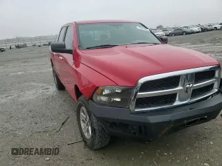 2010 Dodge 1500 SLT with VIN 1D7RV1CP3AS256734, listed as a Copart auction lot 42459025 with 209,487 mi miles and Salvage Title. Bid and sale history available at carsss.com. Image 10.