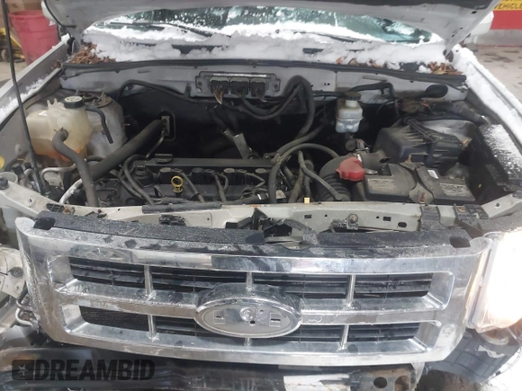 2009 Ford Escape Limited with VIN 1FMCU04729KB40170, listed as a IAAI auction lot 41609317 with 152,153 mi miles and . Bid and sale history available at DreamBid. Image 10.