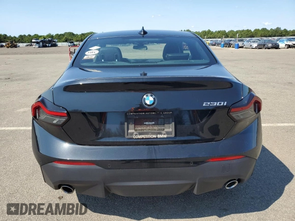 2022 BMW 2 Series 230i with VIN 3MW23CM01N8C59134, listed as a Copart auction lot 70217694 with 10,891 mi miles and Salvage Title. Bid and sale history available at carsss.com. Image 6.